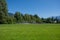 Empty baseball or softball diamond from the back fence and foul line looking towards the grass and trees in Whistler, British