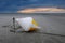 Empty Beach with Buoy at Sunset, St. Peter Ording, Germany