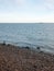 Empty beach front water sea ocean horizon landscape seagulls in