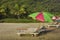 Empty beach loungers with mattresses under bright large sun umbrellas on the sand against the backdrop of the green palm jungle