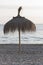 Empty beach of people at sunset with palm trees and straw umbrellas deck chairs sand at sunset