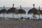 Empty beach of people at sunset with palm trees and straw umbrellas deck chairs sand at sunset