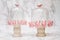 Empty Bell Jars with Pink Butterfly Design