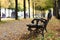 Empty bench in an autumn park