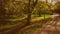 Empty bench in autumn park, fall season nature