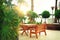 Empty bench on beach walkway. Sunny rest area. Tropical green palm trees background. Sun light effect and sunny bokeh