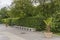 Empty bench in the city Park. Palm trees in pots