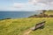 Empty bench on green meadow above Long Bay