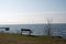 An empty bench just close to the sea with the Oresund bridge in the fog in the background