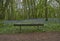 An empty bench just off the footpath wending its way through the bluebells of Darroch wood in Perthshire.