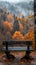 Empty bench overlooking misty vibrant forest during autumn