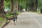 Empty bench in the park