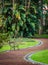 Empty bench in the park