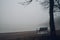 Empty bench at park near pond by foggy day