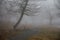 Empty bench at park near pond by foggy day, minimalistic cold season scene. bench at the lake in the fog in the forest. Bench near