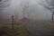 Empty bench at park near pond by foggy day, minimalistic cold season scene. bench at the lake in the fog in the forest. Bench near