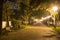 Empty bench on pathway at night