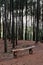 The empty bench at Puncak Becici, Bantul, Yogyakarta, Indonesia during soft twilight.