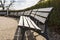 Empty Bench Row Bushes Sky Park Open Skies Blue Sunny Day Beautiful Weather European Tourist Location