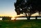 Empty bench seats and pohutukawa tree in silhouette at waters edge back-lit by golden sunrise