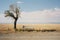 an empty bench sits in the middle of an empty field