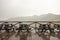 Empty benches in a cloud-burst in mountains with fog