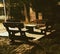 empty benches in cold night