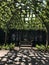 Empty benches in the Garden tunnel and curved shaped Trees Trained into a Canopy. Tree shady pergola. Pergola at English