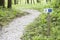 Empty bike trail in forest