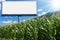 Empty Billboard in a Corn Field