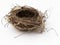 Empty bird nest