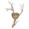 Empty birds nest on a branch. Watercolor illustration. Round thatched hummingbird house. Isolated on a white background