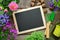 Empty blackboard, seedlings of garden flowers, bucket, shovel, rake, gloves. Copy space for text