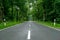 Empty blacktop two-lane road in deep lush green forest with copy space