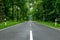 Empty blacktop two-lane road in deep lush green forest with copy space