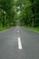 Empty blacktop two-lane road in deep lush green forest with copy space