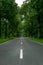 Empty blacktop two-lane road in deep lush green forest with copy space