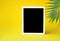 Empty blank of instant photo on yellow background with palm leaves.