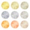 Empty Blank Set vector templates for coin, price tags, sewing buttons, buttons, icons or medals with gold different types