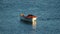 Empty boat with its reflection on the water in Waipu River, New Zealand