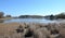 The empty bottom of the pond is visible bare shores of water decreasing, dirty water algae reeds bunches shores reservoirs spring