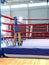 Empty boxing ring with red ropes for match