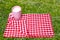 Empty breakfast blanket. Close-up of a pink ceramic mug with milk on red checkered napkin or tablecloth on blurred sun-flooded