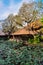 Empty cafe and pond with lotus