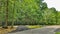 Empty campground in summer