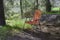 Empty camping chair for Outdoor Camping in forest