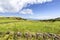 Empty Cattle Azores Pastures