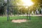 Empty chain swings in recreational park with sunlight