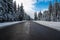 Empty clean asphalt road at wintertime, big snow on the pine woods