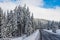 Empty clean asphalt road at wintertime, big snow on the pine woods